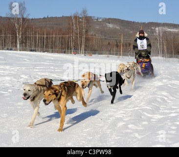 Limited North American Championship Races de chiens de traîneau. Six chiens de traîneau. Du 11 au 13 mars 2010 à Fairbanks, en Alaska. Banque D'Images