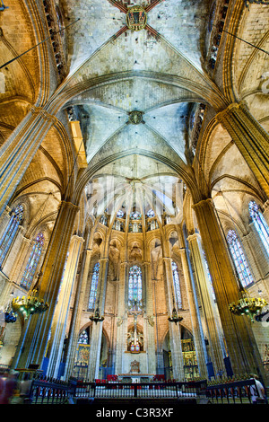 Espagne, Catalogne, Barcelone, Barri Gotic District, Plaza de la Seu, la cathédrale de Santa Eulalia (également appelé Seu) Banque D'Images