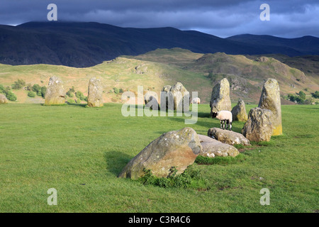 Un agneau se dresse sur l'ancien monument qui est cercle de pierres de Castlerigg, Keswick, Lake District Banque D'Images