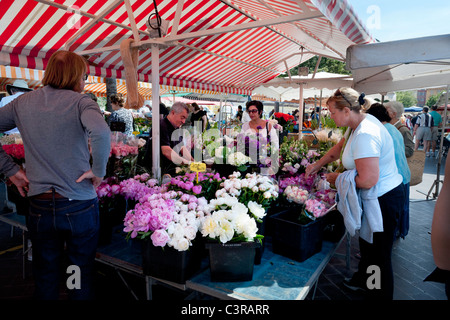 Marché Cours Saleya à Nice Banque D'Images