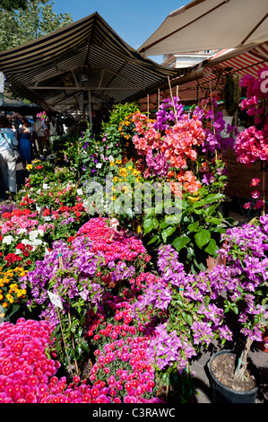 Marché Cours Saleya à Nice Banque D'Images