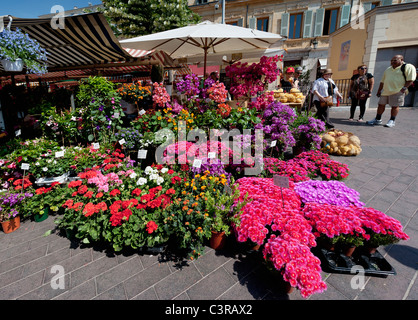 Marché Cours Saleya à Nice Banque D'Images