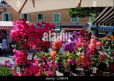 Marché Cours Saleya à Nice Banque D'Images