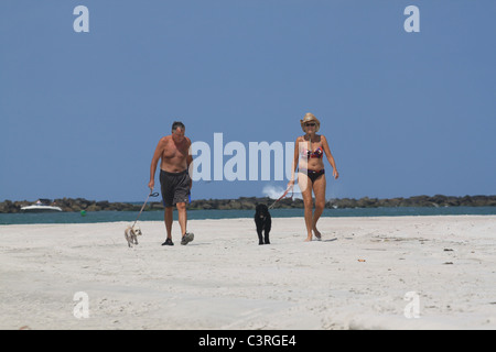 L'homme et la femme marcher les chiens sur la plage Banque D'Images