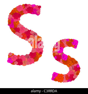 Alphabet de fleurs de roses rouges, les caractères s-s Banque D'Images