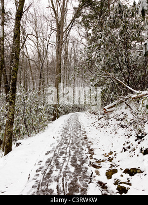 Randonnées un chemin couvert de neige dans les Smoky Mountains en hiver Banque D'Images