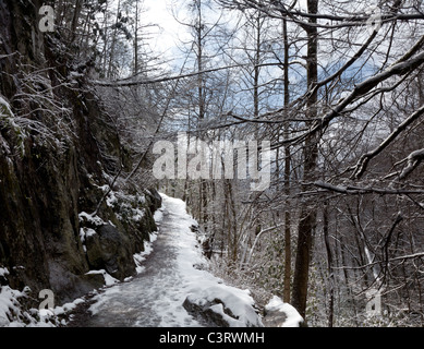 Randonnées un chemin couvert de neige dans les Smoky Mountains en hiver Banque D'Images