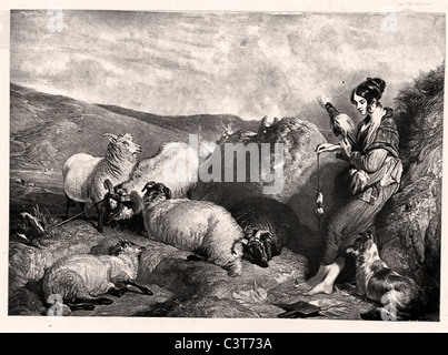 Lessie troupeaux de moutons par Edwin Landseer Banque D'Images