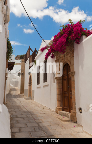 Bougainvillea suspendue au-dessus de porte dans rue étroite de l'Île Lindos Rhodes Grèce Banque D'Images