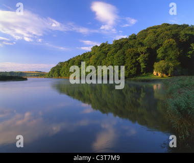 Tôt le matin, réflexions sur la Rivière Tamar à Cotehele Quay,Cornwall Banque D'Images