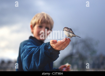 Perché sur les oiseaux sauvages les garçons main tendue Banque D'Images