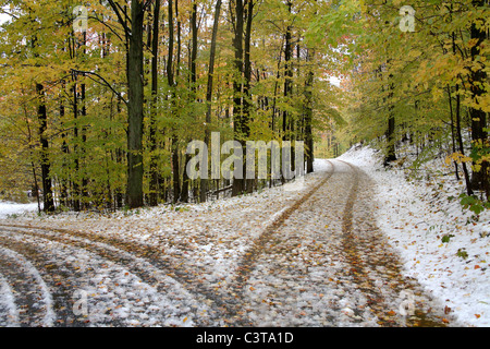 A Snowy Lane à l'automne près de Traverse City au Michigan, USA Banque D'Images