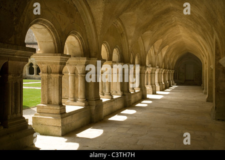 France Bourgogne l'abbaye de Fontenay, cloîtres Banque D'Images