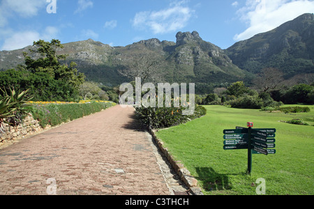 Kirstenbosch National Botanical Gardens Cape Town Afrique du Sud Banque D'Images