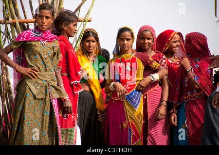 Les Indiens et la vie quotidienne au cours de l'assemblée juste chameau à Pushkar, Rajasthan, Inde, Asie Banque D'Images