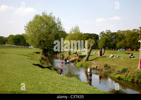 Pagayer dans le Beverley Brook, Richmond Park, London, UK Banque D'Images