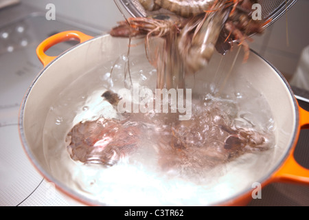 Crevettes est versé dans l'eau bouillante Banque D'Images