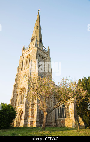 'St Jean Baptiste', Église Thaxted, Essex, Angleterre, Royaume-Uni. Banque D'Images