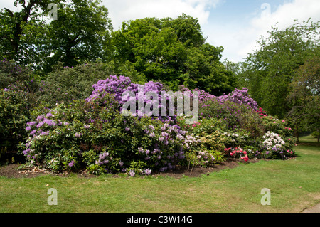 Parc royal de Greenwich London England UK Banque D'Images