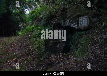 Sentiers de randonnée mystérieux et luxuriants sur l'île de São Miguel, aux Açores, avec des murs de pierre recouverts de mousse et une source intégrée dans le paysage forestier. Banque D'Images
