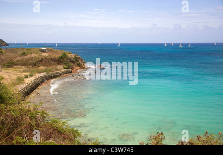 Carlisle Bay avec yacht race à distance Banque D'Images