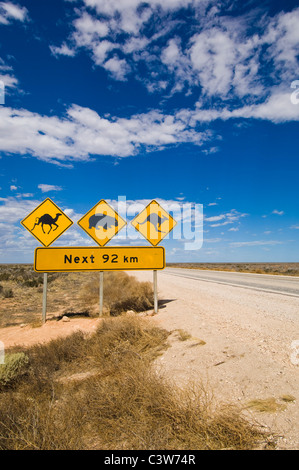 La signalisation routière sur l'Eyre Highway, plaine du Nullarbor, Australie du Sud. Banque D'Images