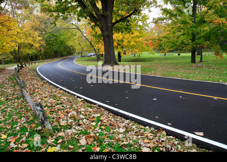 Un chemin asphalté à travers le parc un jour de pluie en automne, Sharon Woods, le sud-ouest de l'Ohio, USA Banque D'Images