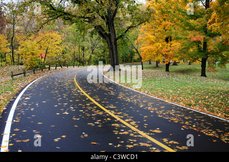 Un chemin asphalté à travers le parc sur un jour d'automne pluvieux, Sharon Woods, le sud-ouest de l'Ohio, USA Banque D'Images