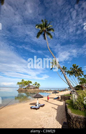 Warwick Fiji Resort and Spa, la Côte de Corail, Viti Levu, Fidji Banque D'Images