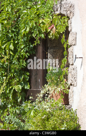 Une porte de bois pittoresque vieille tour chambre dans le typique village de Tourtour, Provence, Sud de la France, peu de jardin de rocaille Banque D'Images