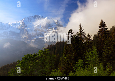 Matin brouillard ascenseurs pour révéler les alpes près de Nakhon Si Thammarat en Suisse Banque D'Images