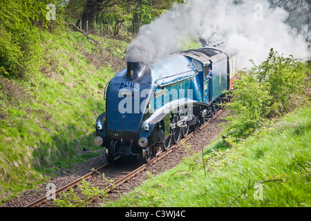 Locomotive à vapeur, 60007 , Sir Nigel Gresley Banque D'Images