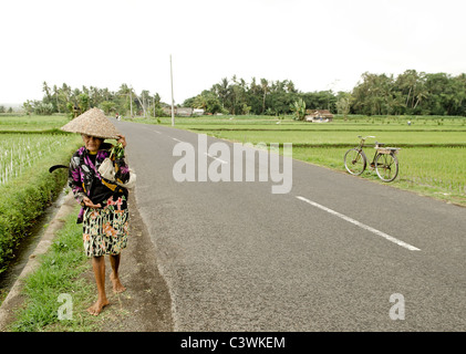 Vieille Femme dans les régions rurales de l'Indonésie Bali Banque D'Images