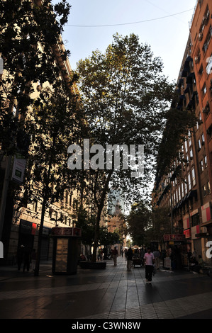 Portrait de la rue en milieu urbain, les gens à l'ombre des arbres les vendeurs de grands bâtiments, rues piétonne Paseo Ahumada, Centro, Santiago, Chili Banque D'Images