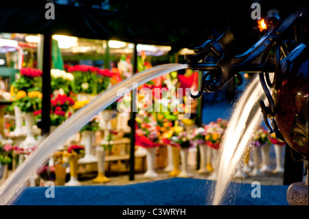 Marché aux fleurs sur le Solny Square, Wroclaw, Pologne Banque D'Images