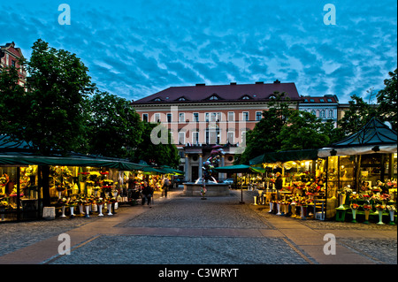 Marché aux fleurs sur le Solny Square, Wroclaw, Pologne Banque D'Images