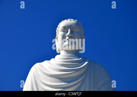 Statue du Bouddha historique géant Banque D'Images