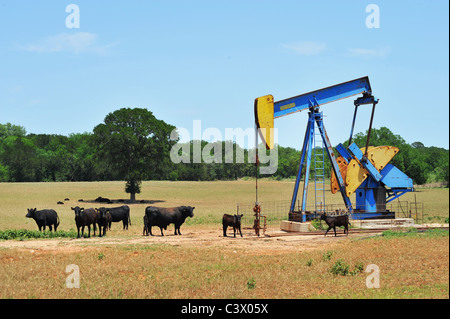 Autopompe de puits de pétrole dans l'ouest du Texas. Banque D'Images