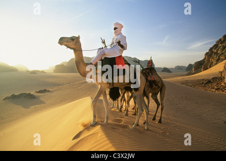 L'Algérie, près de Djanet, l'homme de tribu Touareg et caravanes de chameaux. Désert du Sahara. Banque D'Images