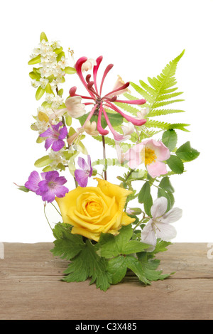 Arrangement de fleurs sur une vieille planche de bois sur un fond blanc. Banque D'Images