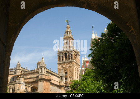 La tour Giralda de Séville, vu à travers l'arche de l'entrée du château. Banque D'Images