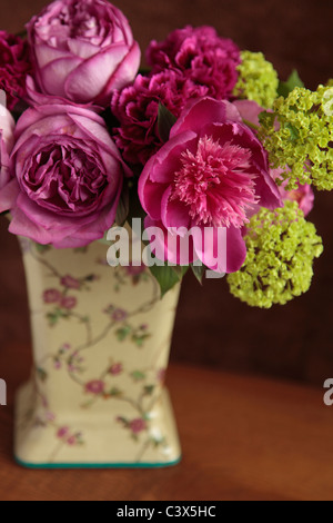 La pivoine de Chine (Paeonia lactiflora) dans un vase Banque D'Images