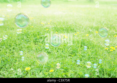 Bulles, Chiba Prefecture, Honshu, Japan Banque D'Images