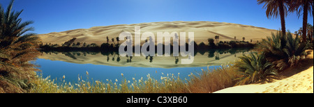 La Libye, l'Ubari, Sahara, oasis de palmiers et de lac. Um El Ma salt lake. Banque D'Images