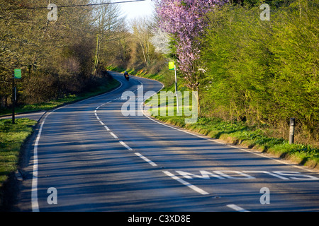 La circulation, la signalisation routière, le marquage routier, UN3020, Blackwater Rookely Godshill, île de Wight, Angleterre, Royaume-Uni, Banque D'Images