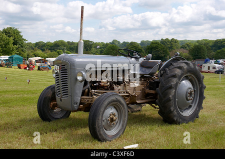 Les tracteurs Ferguson classique sur l'affichage à un bain à vapeur et vintage juste. Souvent appelé 'le Little Grey Fergie'. Banque D'Images