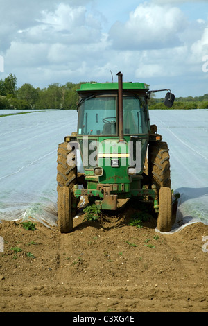 Tracteur vert stationné à l'extrémité du champ de dégraissage de récolte couvrant Alderton Suffolk Angleterre Banque D'Images