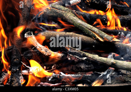 Feu de bois brûlant de flammes de détail élevé Banque D'Images