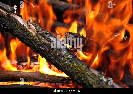 Close-up d'un feu avec des flammes Banque D'Images