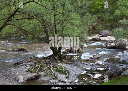 Le lit du fleuve dans la vallée de l'Elan, Mid Wales Banque D'Images